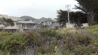 США 407: Half Moon Bay - городок на тихоокеанскои побережье. 20 минут езды от Кремниевой Долины