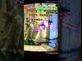 Shang Tsung Never Before Done 140 Combo Mk2 Mortalkombat2 Gaming Retrogaming Shangtsung