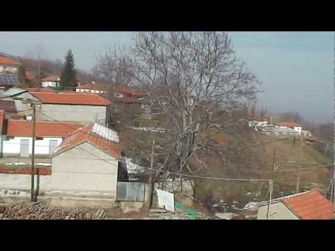 TRIANTAFYLLIA[LAGEN]FLORINA