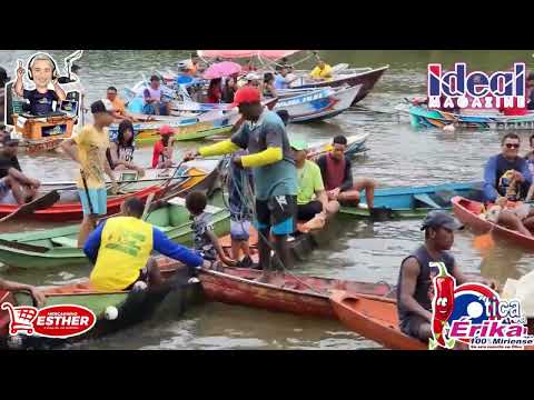 Igarapé miri pesca do Mapará 