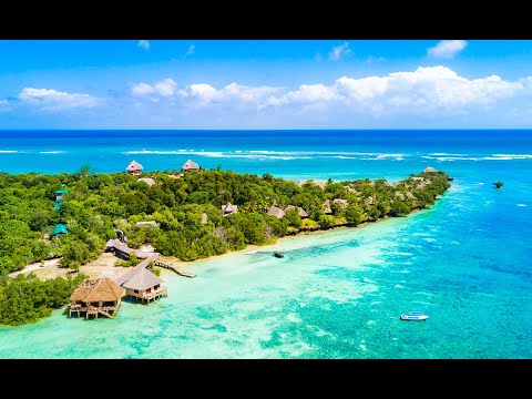 TY NICCAR BEATS-  "RACKEE"  (Official Audio)