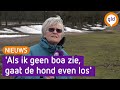 Kritiek op boete voor loslopende honden: 'Alsof het allemaal valse beesten zijn'