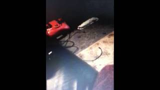 A Mum&#39;s Dying Song