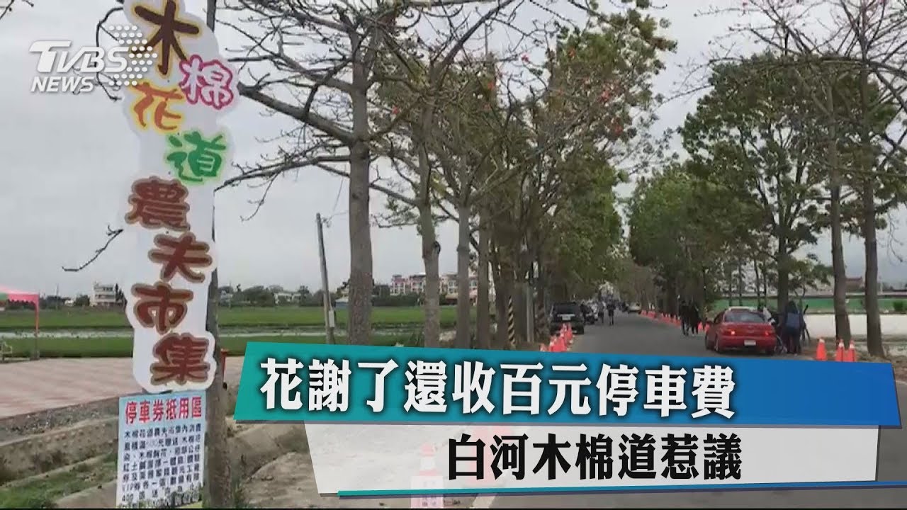 花謝了還收百元停車費 白河木棉道惹議
