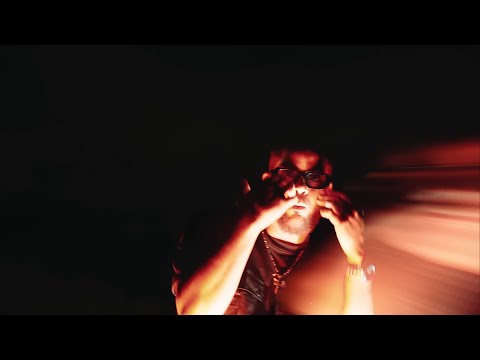 Nicko Real lion - Croizé