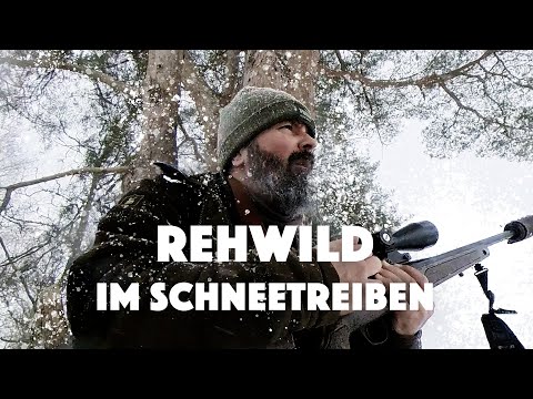 Hunting Roe Deer in the german snow (activate english subtitles)