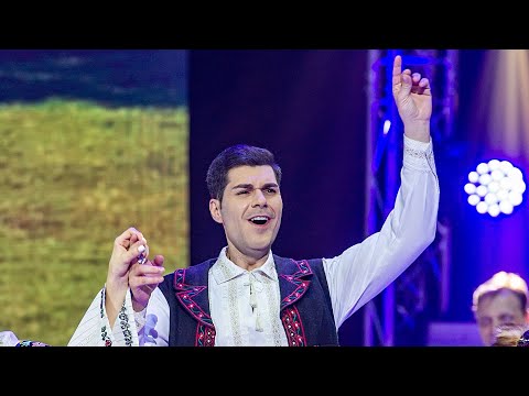 Gabriel Dumitru - Hai cu toți la hora mare #Lăutarii