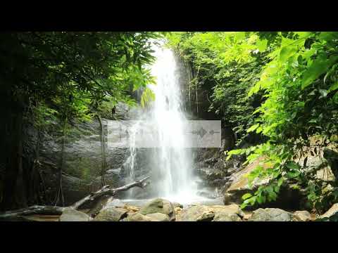 DEVOCIONAL TEMPO DE REFLETIR.UMA PALAVRA PRA SUA VIDA - 18.11.2023