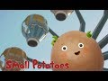 Small Potatoes - Small Potato Rock