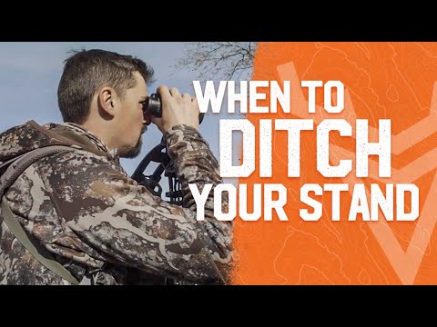 When to Ditch Your Treestands and Hunt the Ground