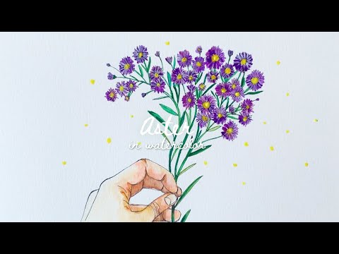 Aster (September Flower) | Sketch + Watercolor Timelapse by Sarah Jeehae Choi