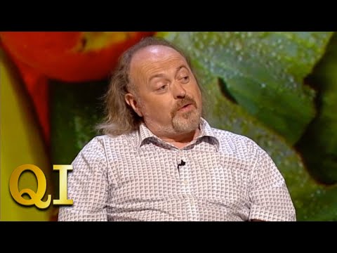 Bill Bailey's Tortoise With Wheels | QI