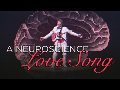 Your Brain On Love, Told Through Song