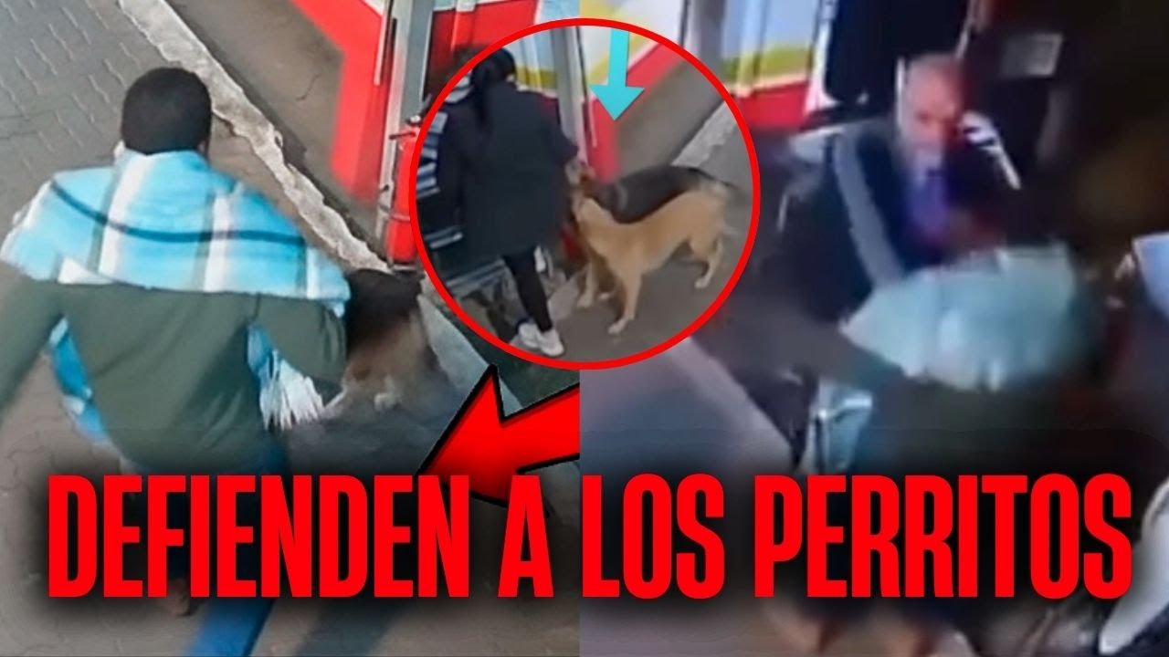 Le dieron su CALENTADITA por L**TIMAR a un PERRITO