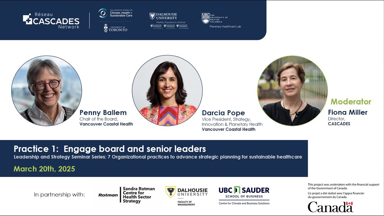 Engage board and senior leaders