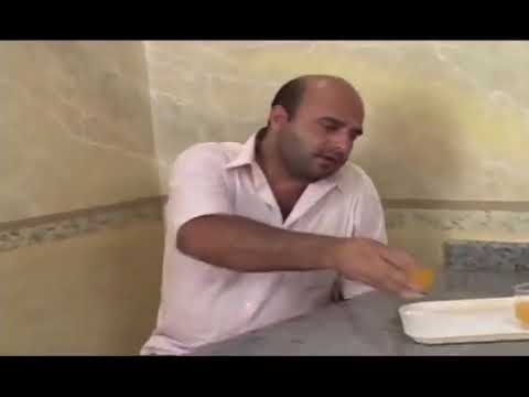 urso grande peludo e manso