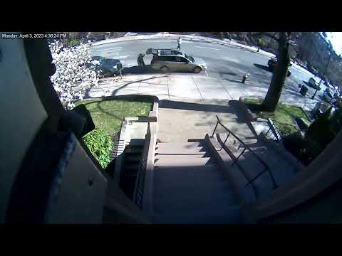 Cat abandoned on Beacon Street at Fisher College in Boston, suspect drives off, ARL investigates