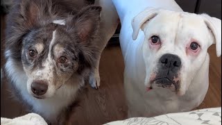 Download lagu Breakfast in Bed mp3 Download lagu Breakfast in Bed mp3