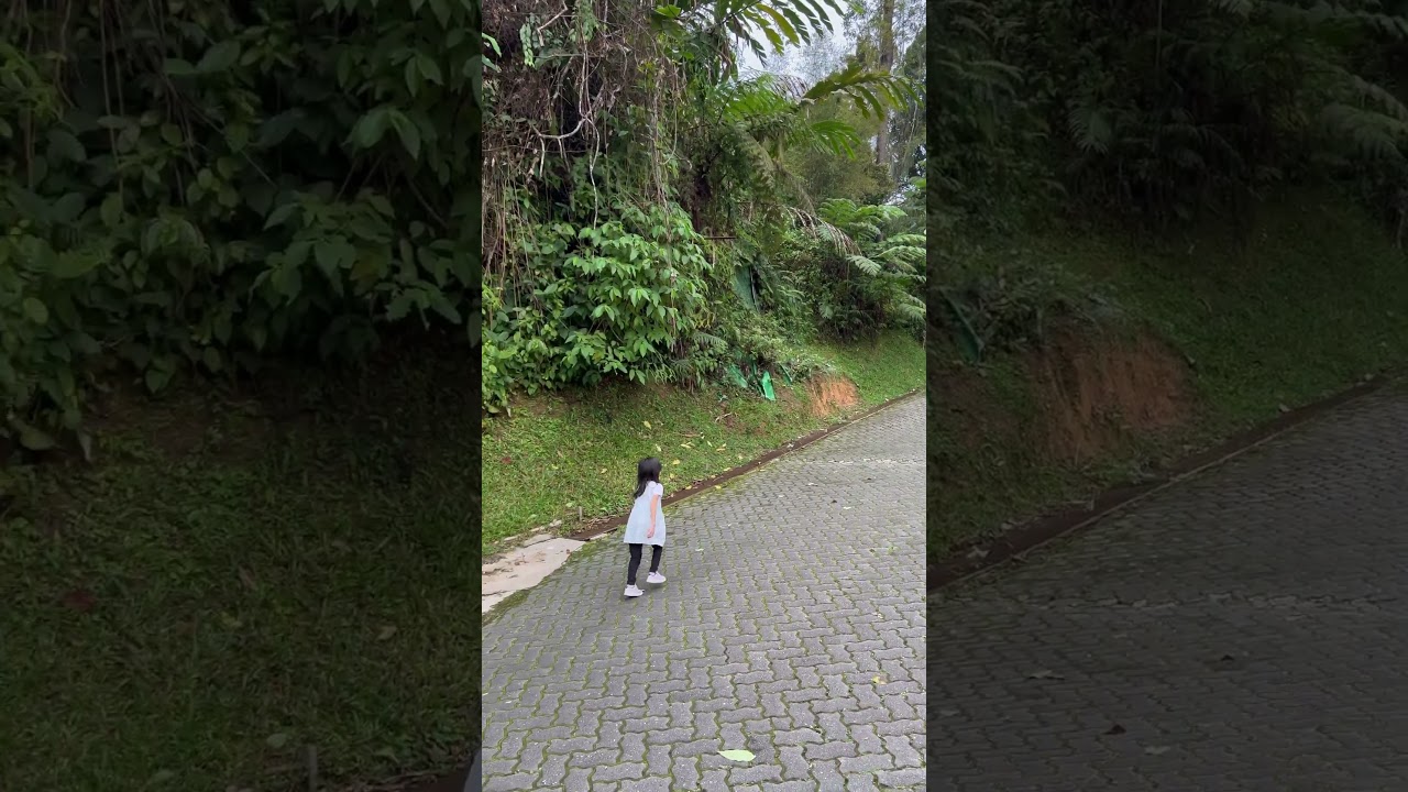 Pahang | Japanese Village @ Bukit Tinggi #virtualwalkingtour #touristattraction #travel #malaysia