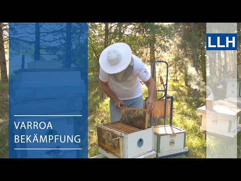 Alternativen der Varroabekämpfung - Die komplette Brutentnahme (Uzunov & Büchler, 2020)