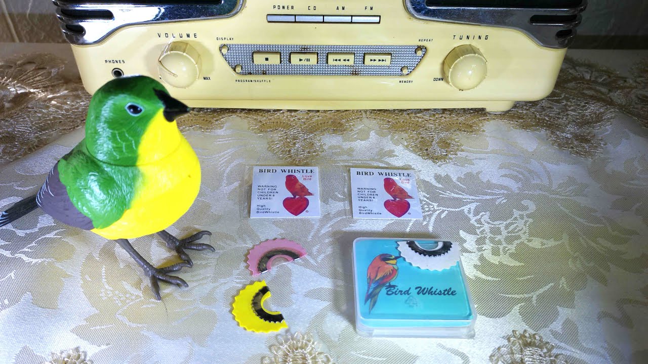 Bird whistle.    Jam #1    Pandora Cat.