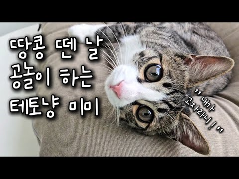 미미야 너 수술한거 맞지? 근데 왜 신났어??