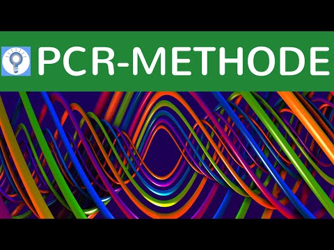 PCR-Methode - Vervielfältigung von DNA - Polymerase-Kettenreaktion einfach erklärt - DNA-Analyse 3