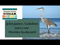 John James Audubon and Your Florida Backyard