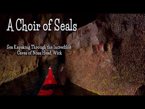 A Choir of Seals | Solo Sea Kayaking, Noss Head, NE Scotland