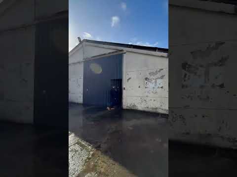 Vidéo