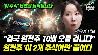 결국 원전주 10배 오를 겁니다, 원전주 '이 2개 주식이면' 끝이다 (곽유정 대표)