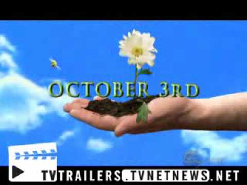 afbeelding PUSHING DAISIES - PROMO Season 1