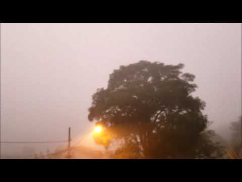 Stan Getz Quartet (feat. Kenny Barron), Haia (1989) - 16 Years of bigfootpegrande on YouTube