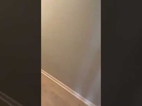 4051 Baring St - Video 2 of 2