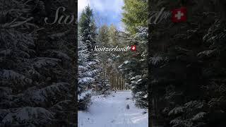 Winter in Switzerland 🇨🇭