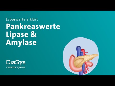 Laborwerte erklärt Folge 5: Lipase, Amylase