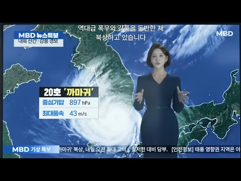 비디오 18