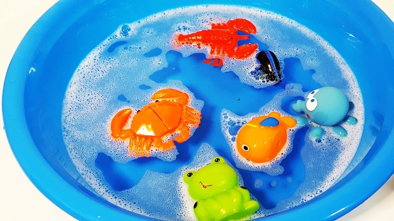 Learn Sea Animal and Zoo Animals Names Shark Video Toys For Kids