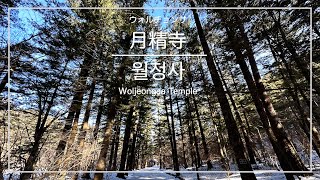 [韓国旅行・平昌]月精寺(ウォルチョンサ) ／ [평창] 월정사
