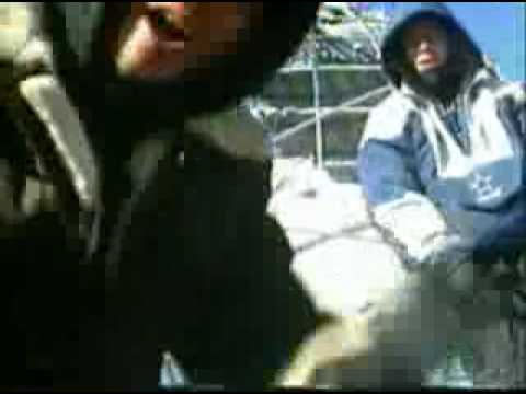 Baby Rasta y Gringo - Alerta (the noise 6)