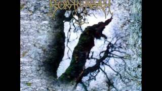 Borknagar - Ascension of Our Fathers