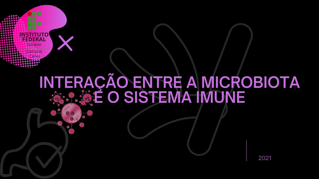 Interação entre a microbiota e o sistema imune