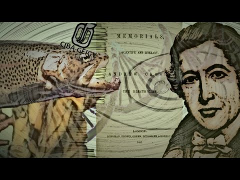 Der Urzeitcode | Erschaffung zeitlosen Lebens | Andrew Crosse und Ciba-Geigy Ergebnisse | Hörbericht