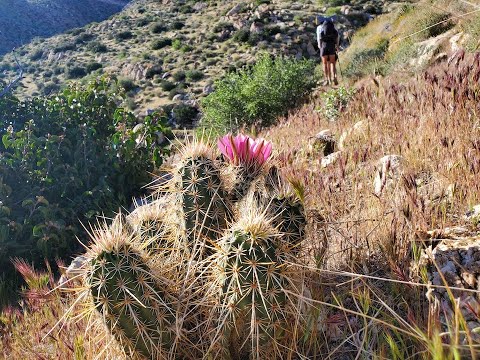PCT Episode 1: The Desert