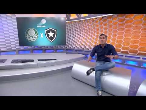 Palmeiras 1x0 Botafogo - Matéria Globo Esporte - 21/11/2016 | 720p
