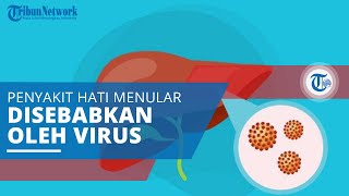 Hepatitis B, Penyakit Hati Menular yang Disebabkan oleh Virus Hepatitis (HBV)