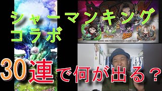 【コトダマン】シャーマンキングコラボ30連とメイデン戦