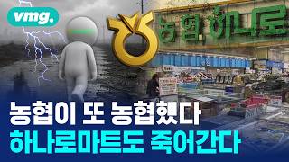 "어..어.." 위기의 하나로마트..'홈플러스' 따라가나 / 머그인사이트 / 비디오머그