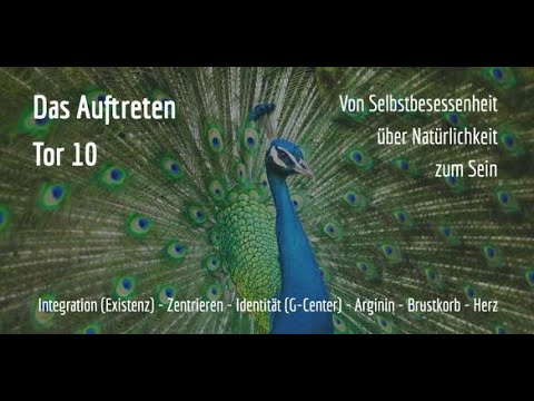 Human Design Tor 10 - #AllSeele2Go - Mehr Frieden geht immer