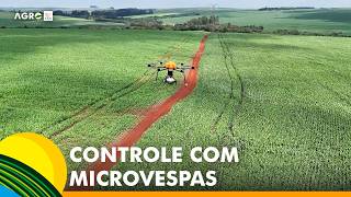 Miniatura do vídeo